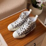 Dior B23 High-Top Sneaker