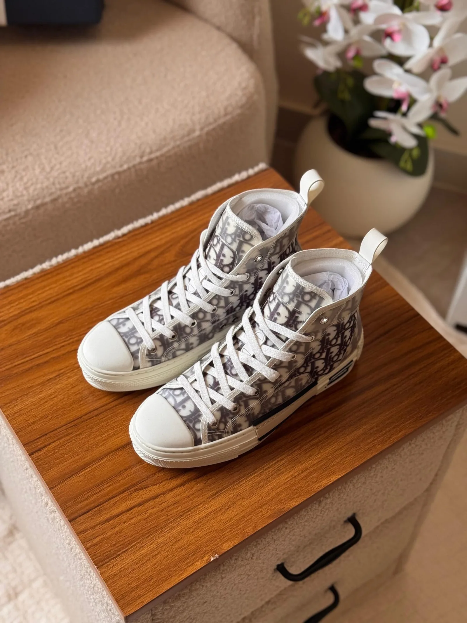 Dior B23 High-Top Sneaker