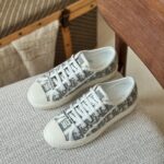 Dior Walk'n'Dior Sneaker