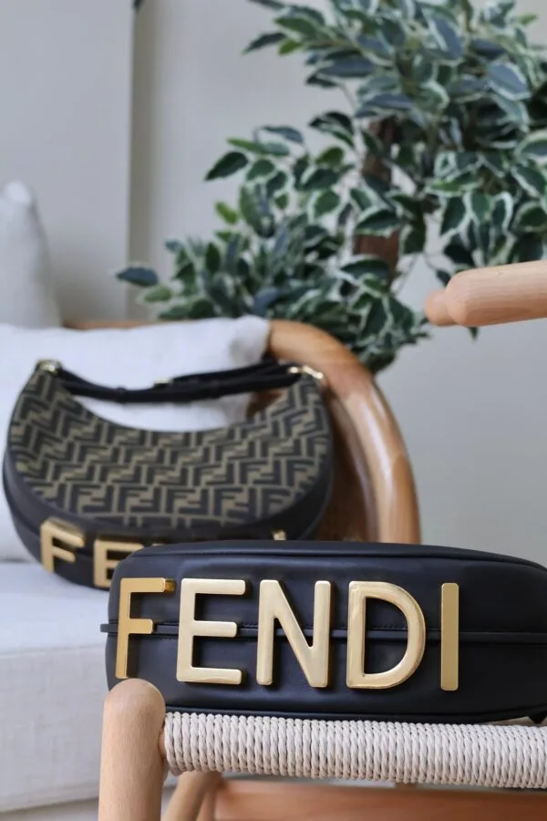 Fendi Fendigraphy Small hobo bag
