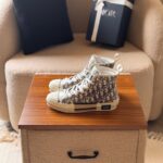 Dior B23 High-Top Sneaker