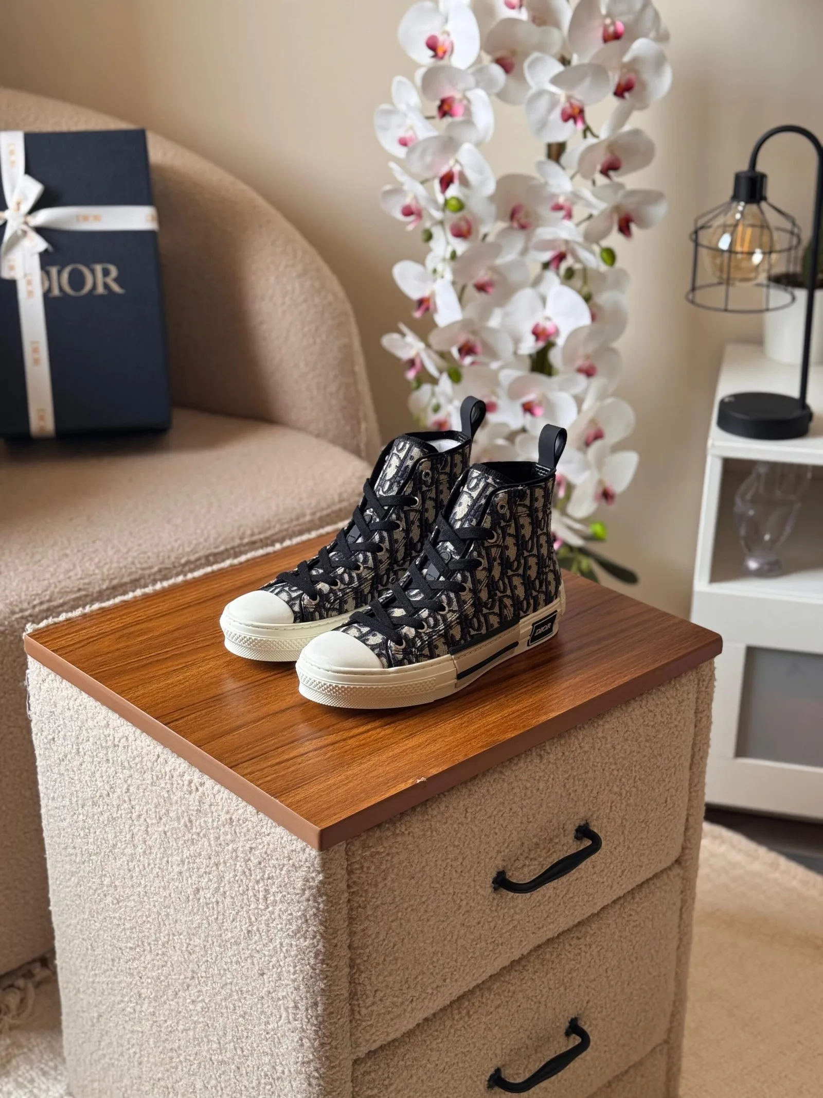 Dior B23 High-Top Sneaker