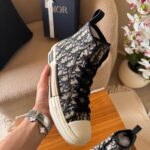 Dior B23 High-Top Sneaker