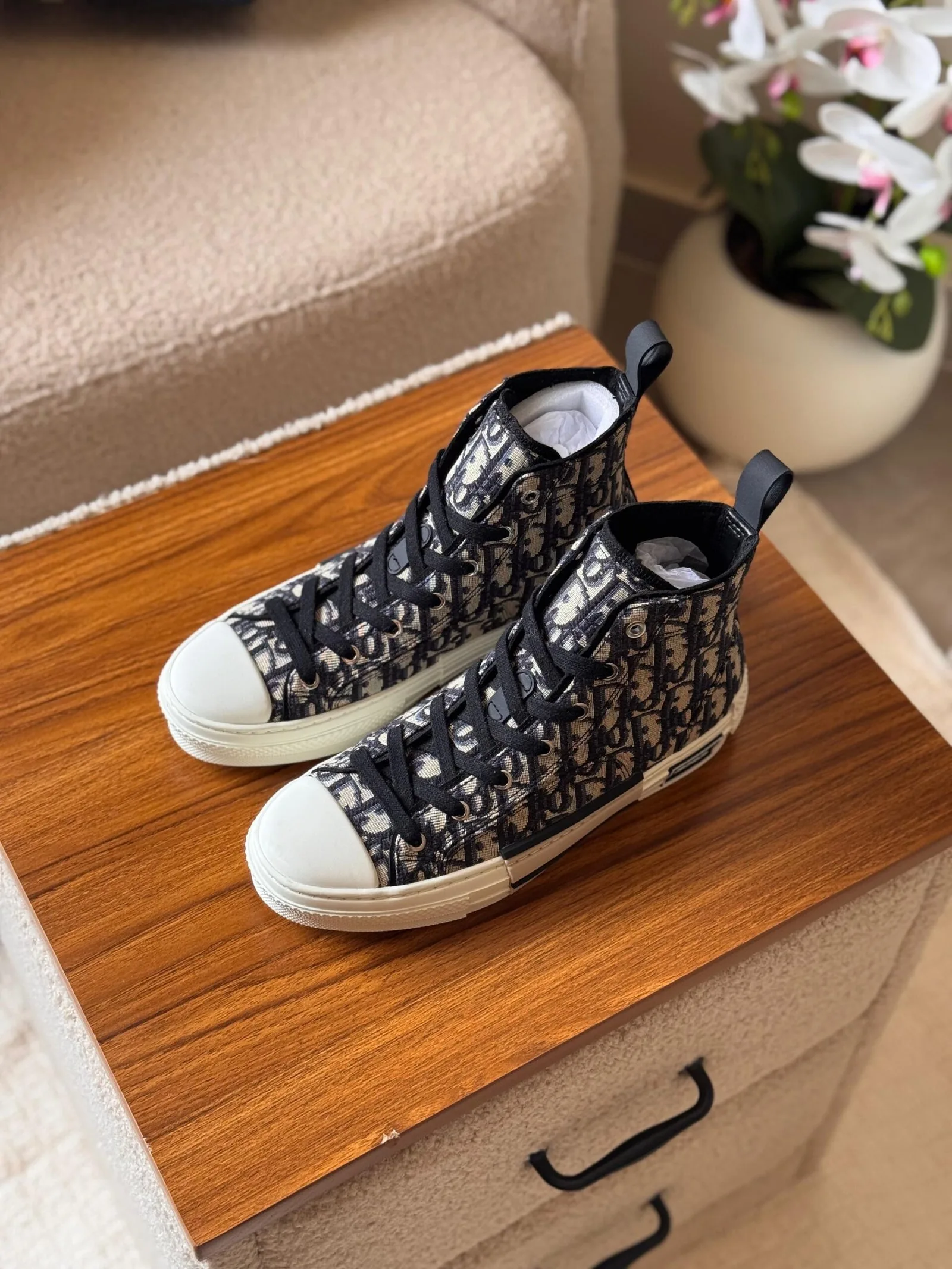 Dior B23 High-Top Sneaker