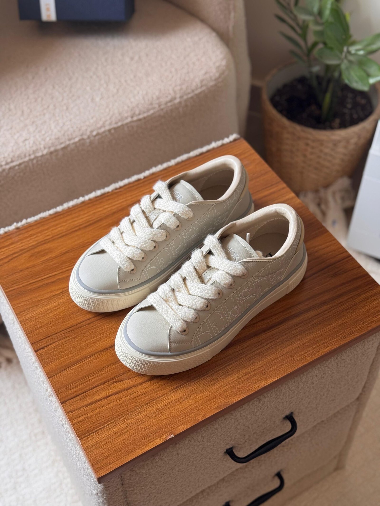 Dior B33 Spin Sneaker