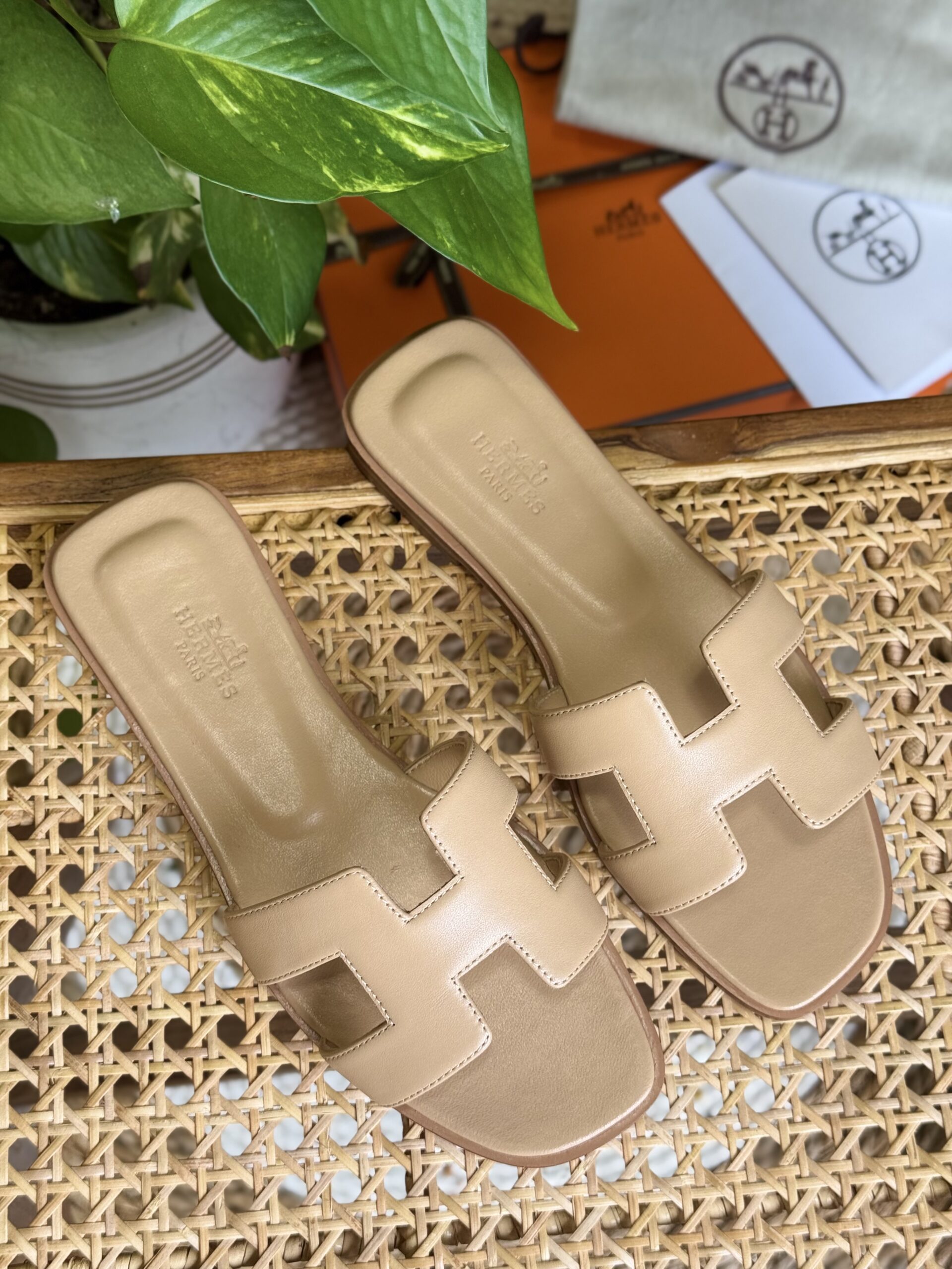 Elegant Classic Leather Flats | Timeless Comfort Shoes