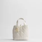 Dior Toujours Vertical Tote Bag