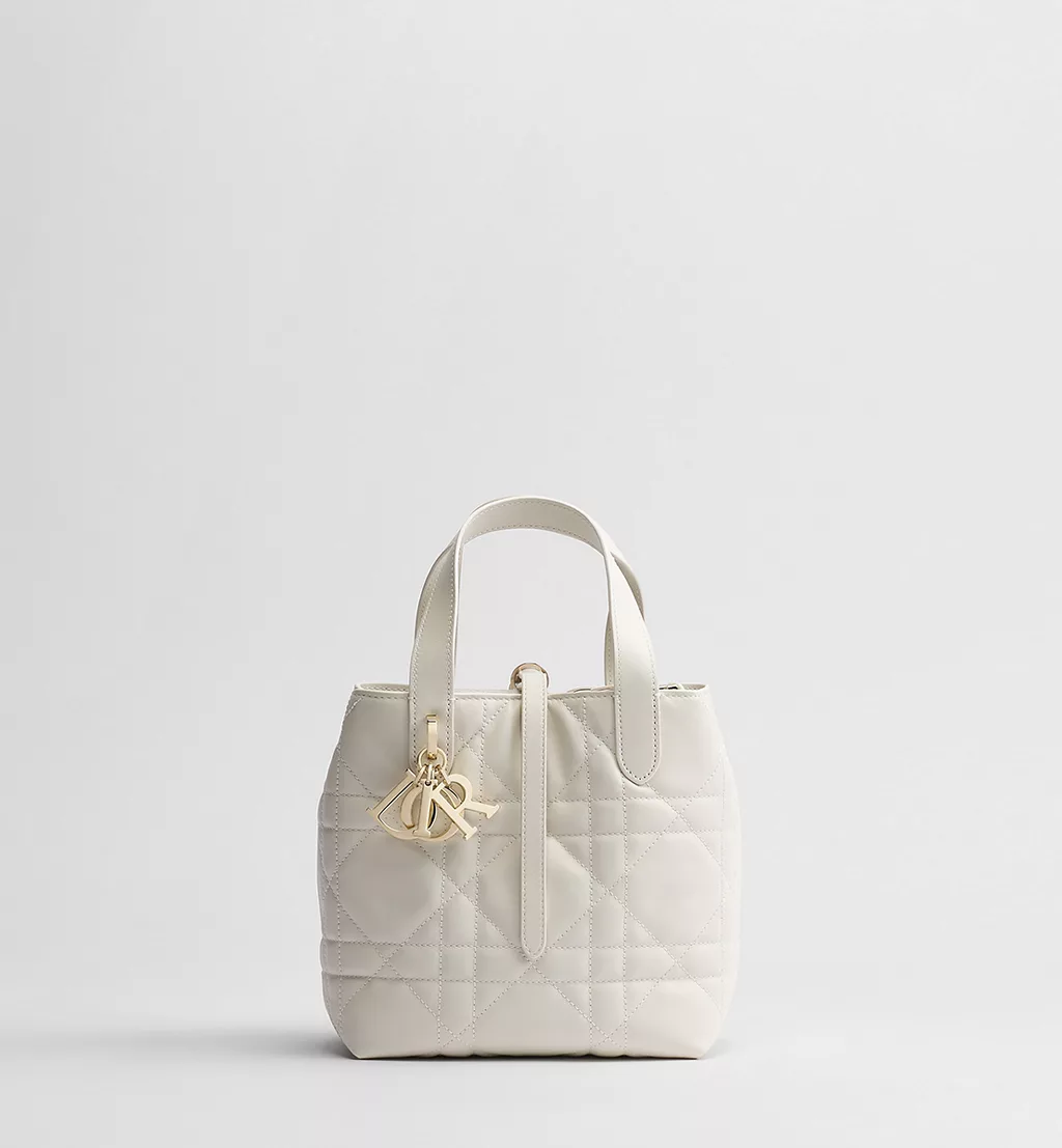 Dior Toujours Vertical Tote Bag