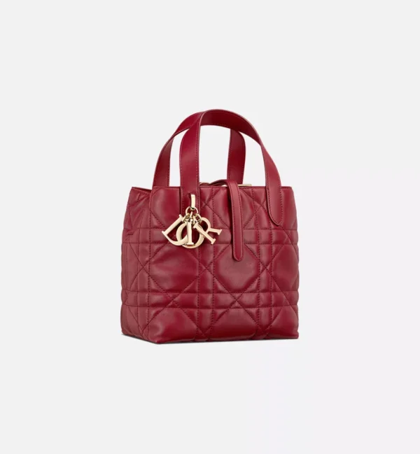 Dior Toujours Vertical Tote Bag