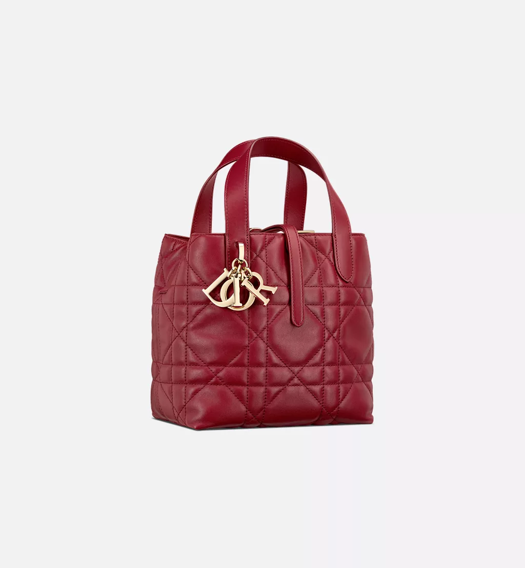 Dior Toujours Vertical Tote Bag