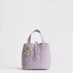 Dior Toujours Vertical Tote Bag
