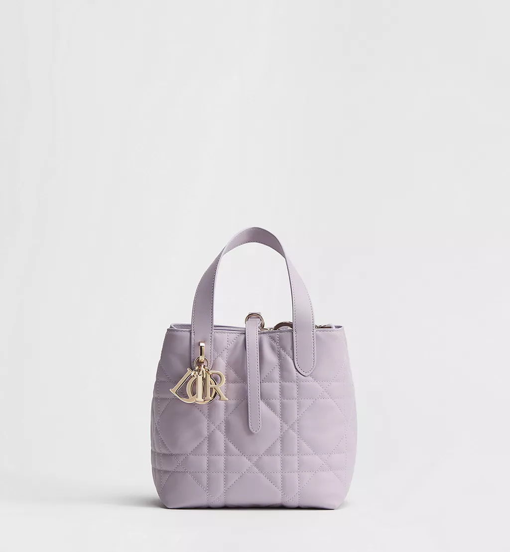 Dior Toujours Vertical Tote Bag