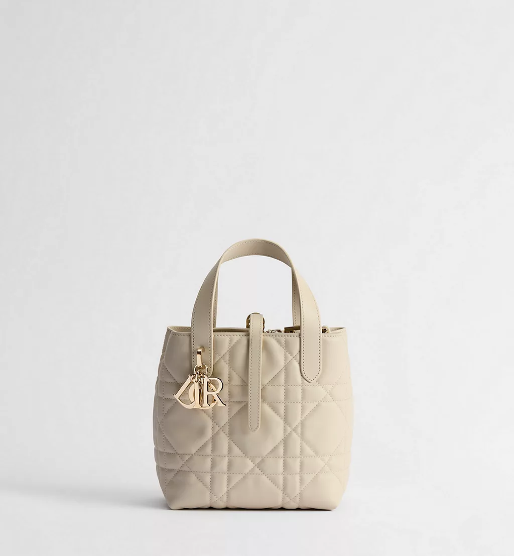 Dior Toujours Vertical Tote Bag