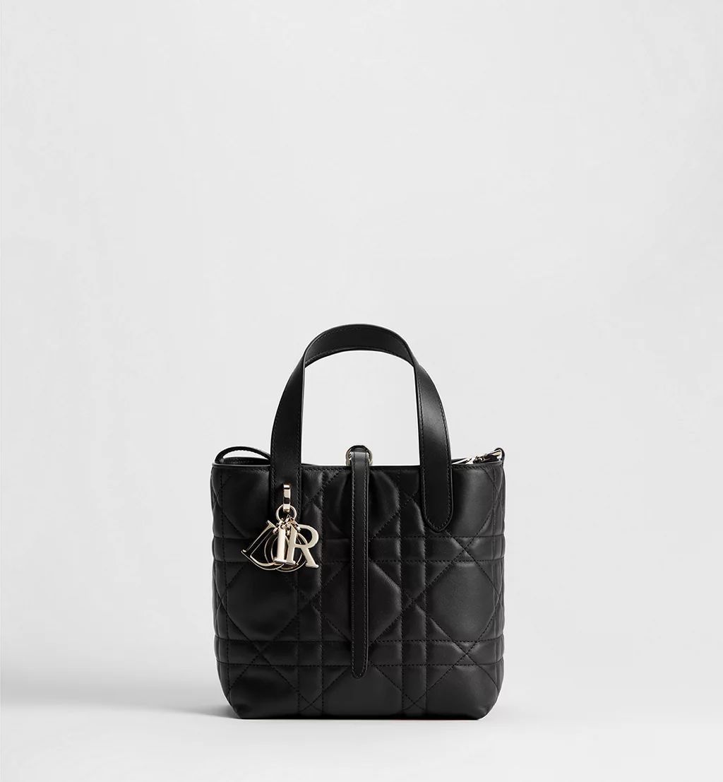 Dior Toujours Vertical Tote Bag