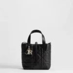 Dior Toujours Vertical Tote Bag
