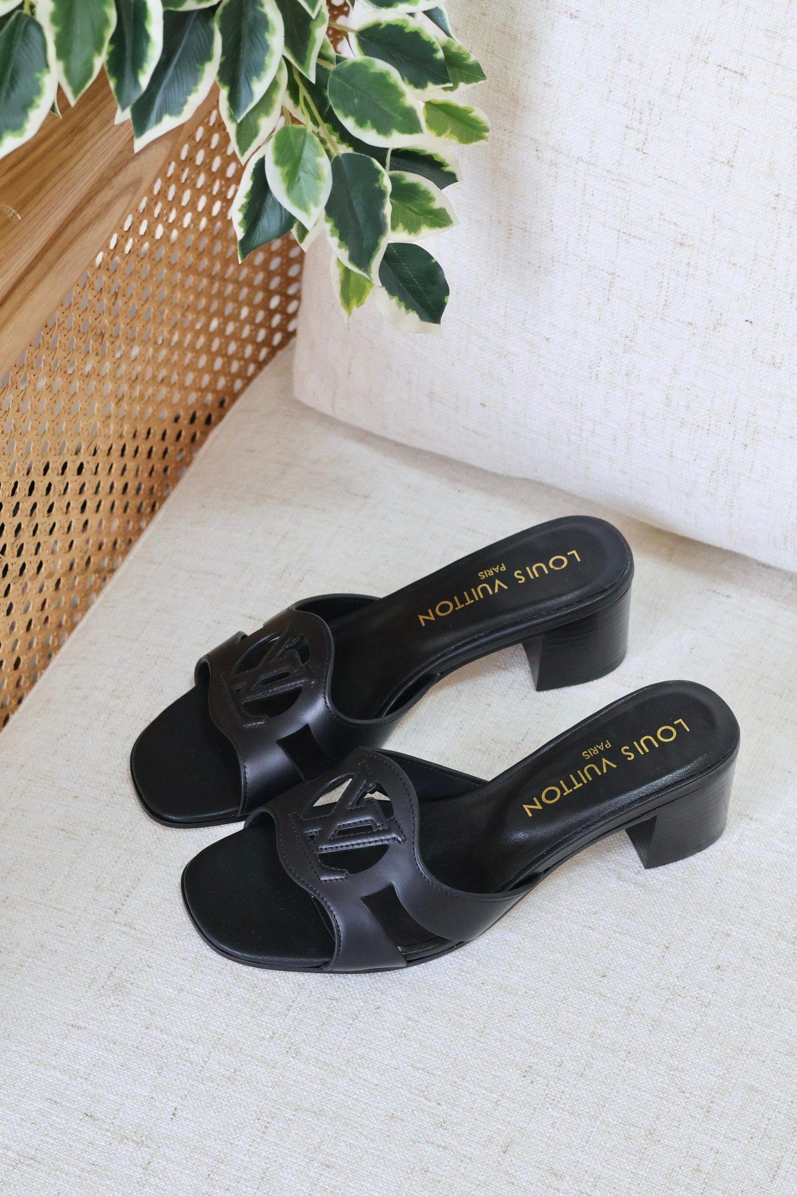 LV Isola Mule