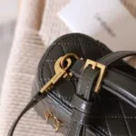 YSL Gaby Vanity leather shoulder bag