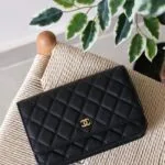 Chanel Wallet on Chain 19cm