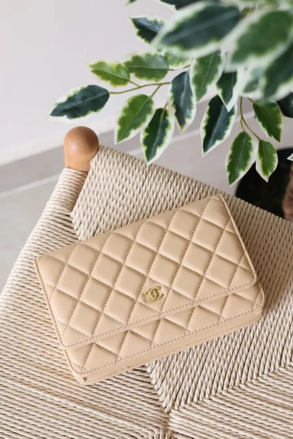 Chanel Wallet on Chain 19cm