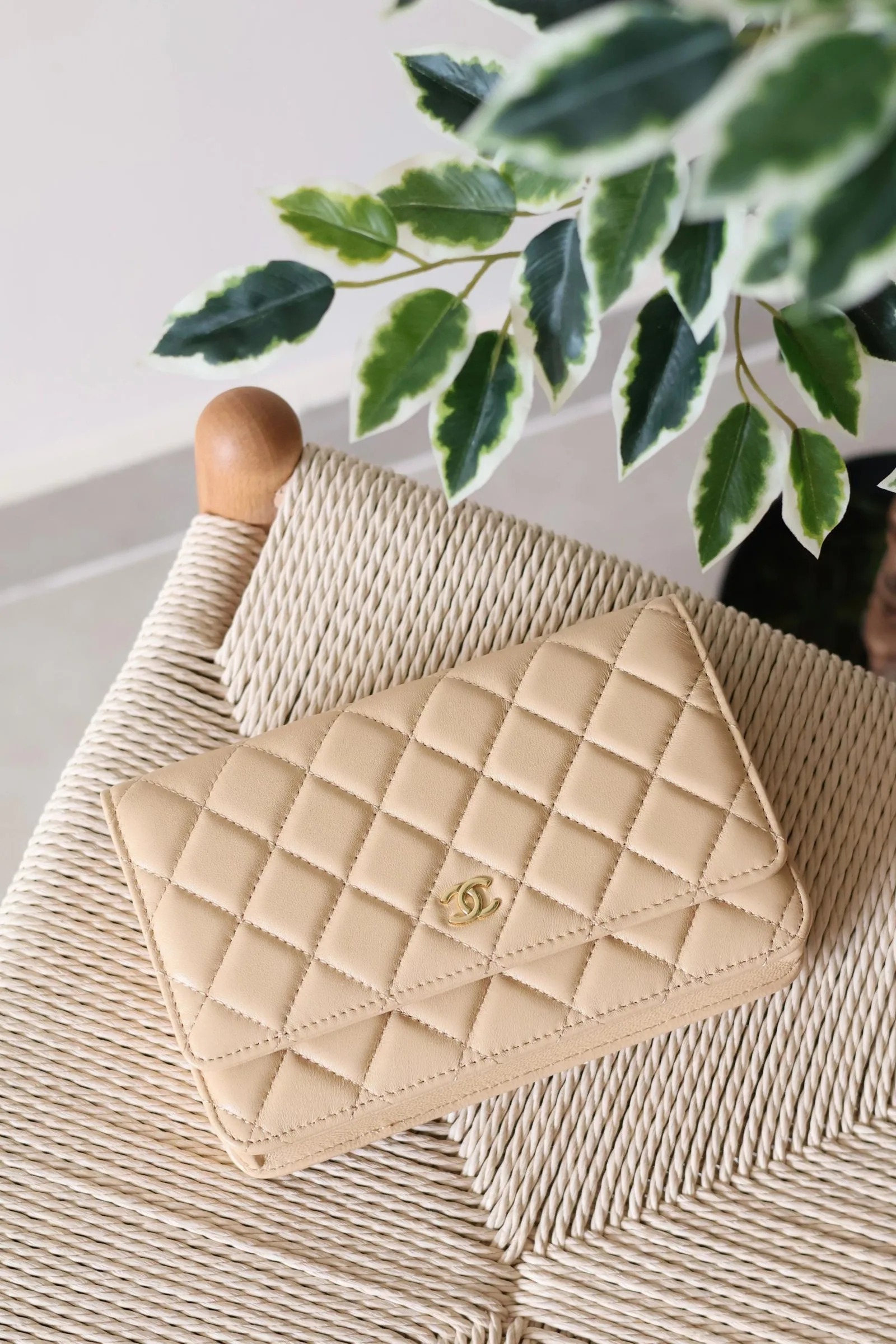 Chanel Wallet on Chain 19cm