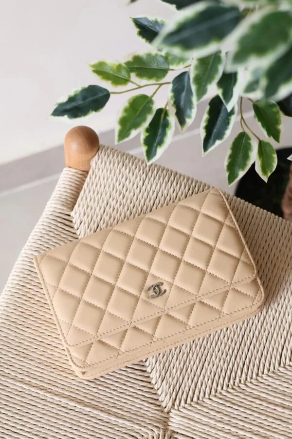 Chanel Wallet on Chain 19cm
