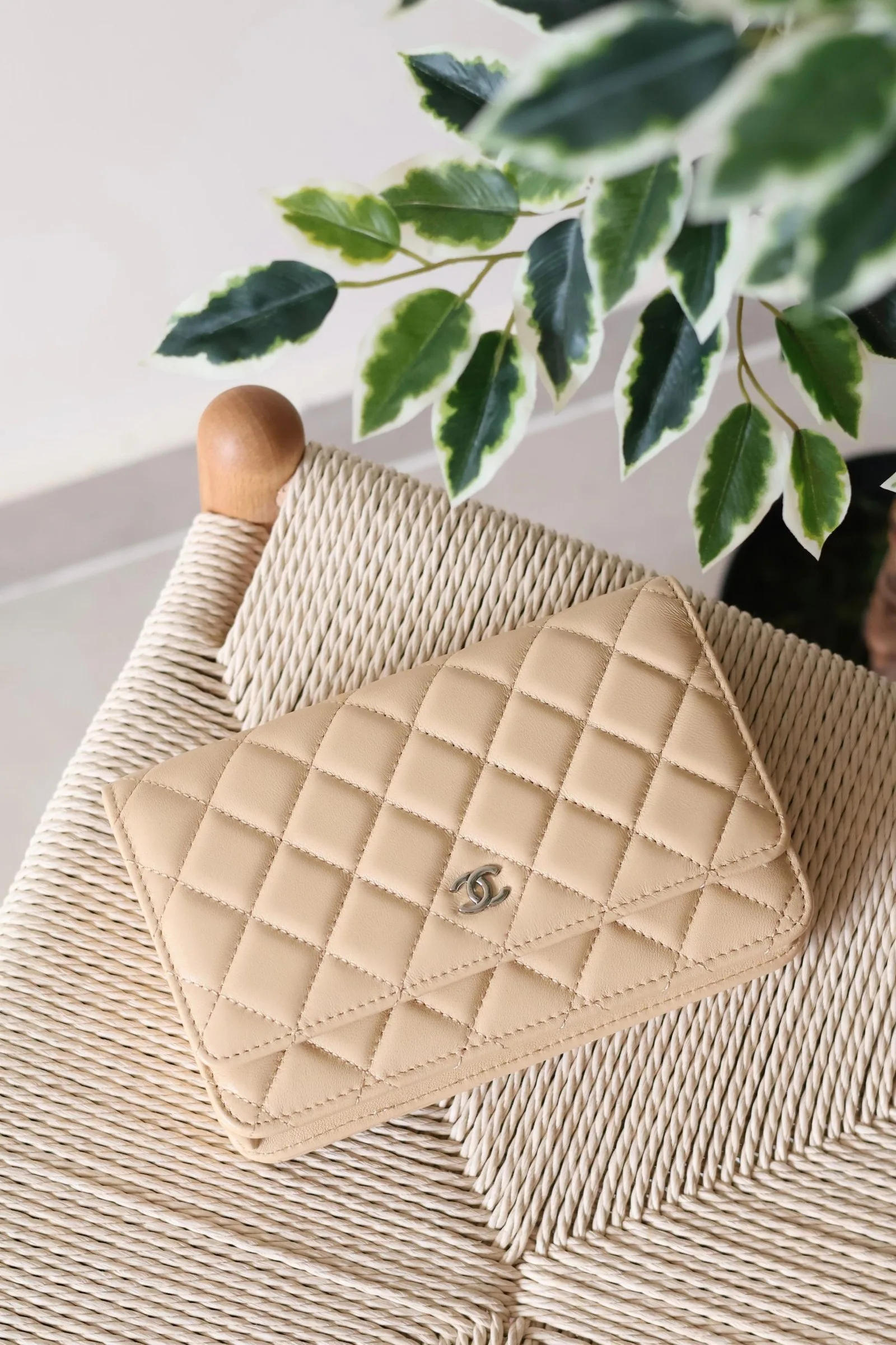 Chanel Wallet on Chain 19cm