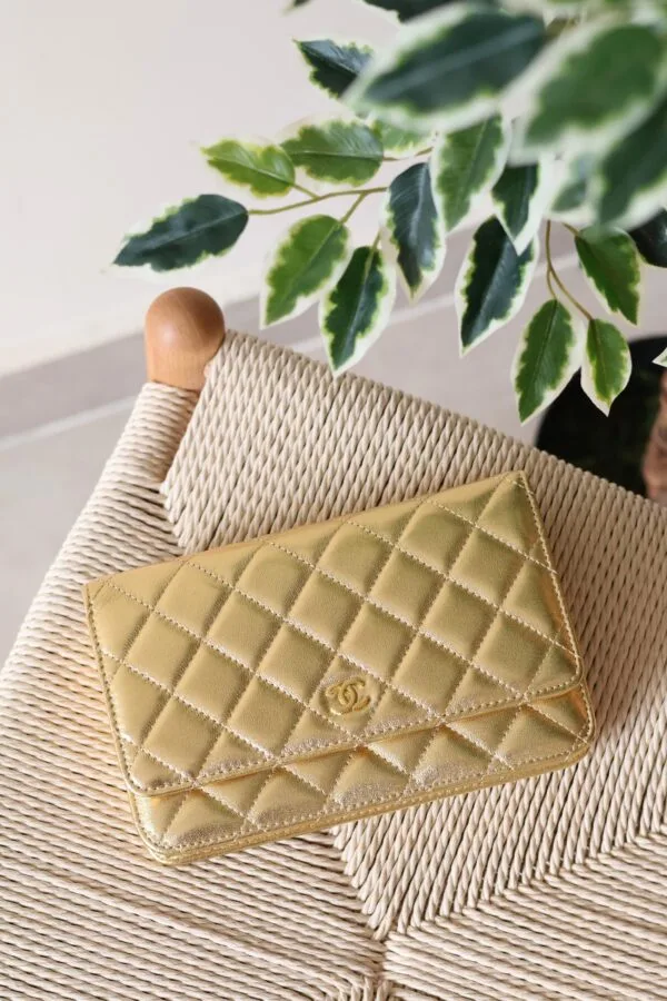 Chanel Wallet on Chain 19cm