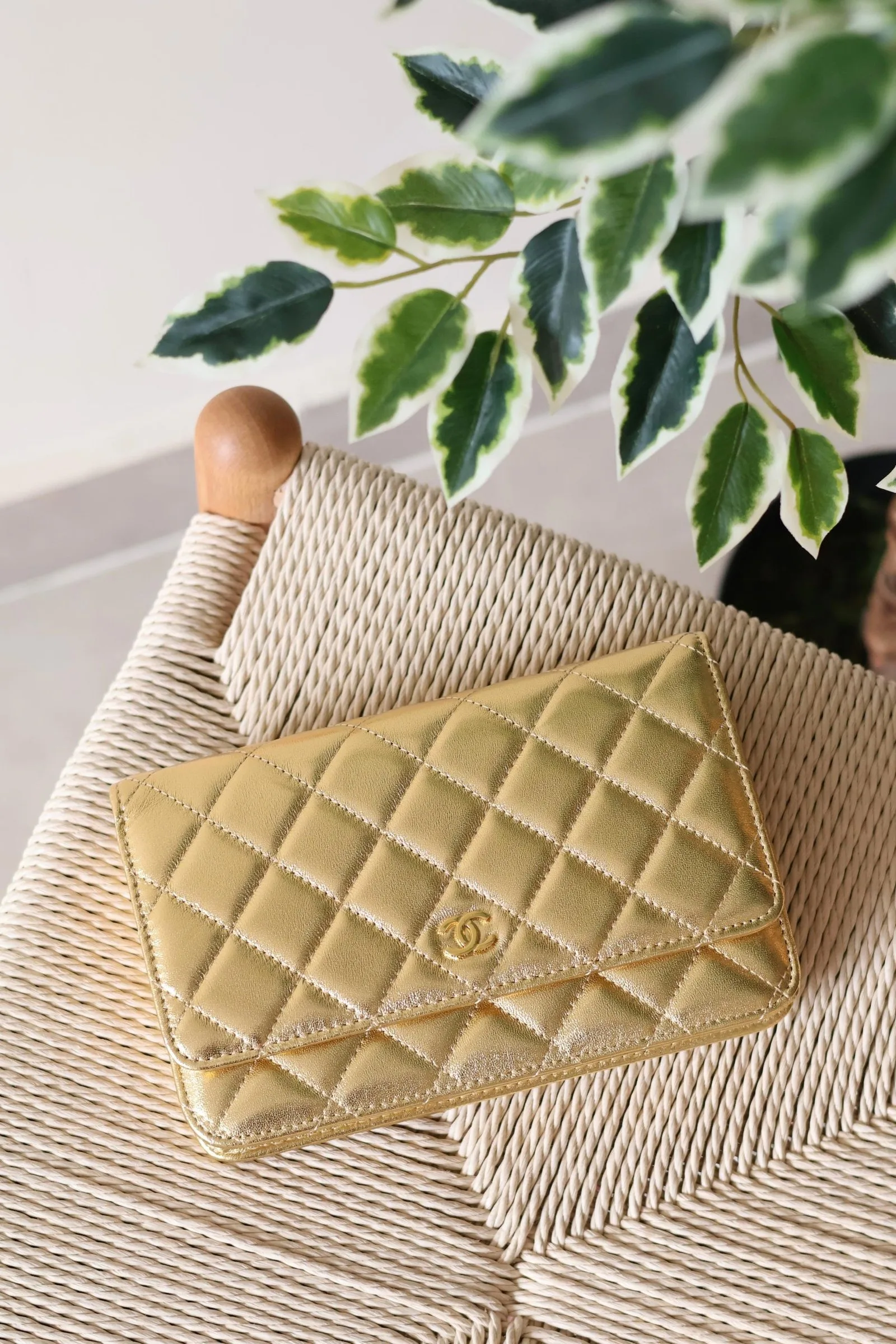 Chanel Wallet on Chain 19cm