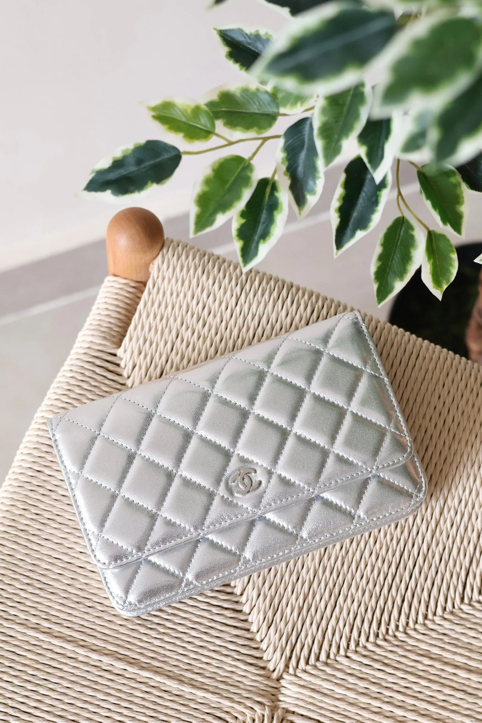 Chanel Wallet on Chain 19cm