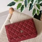 Chanel Wallet on Chain 19cm