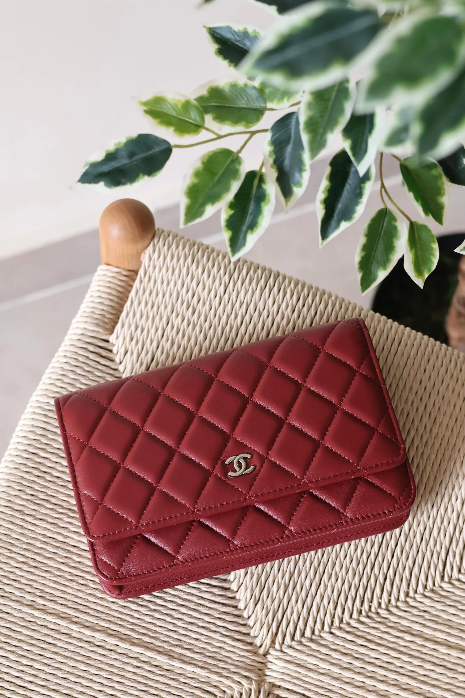 Chanel Wallet on Chain 19cm