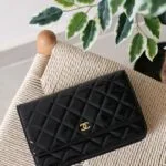 Chanel Wallet on Chain 19cm