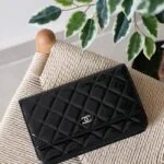 Chanel Wallet on Chain 19cm