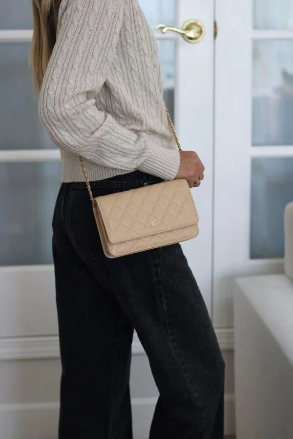 Chanel Wallet on Chain 19cm
