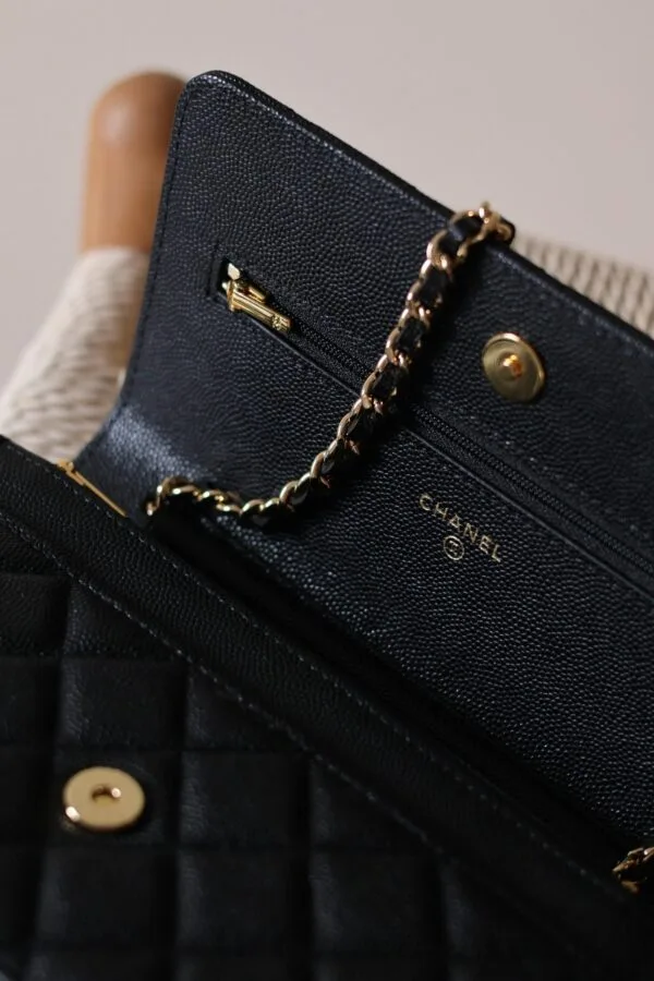 Chanel Wallet on Chain 19cm