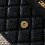 Chanel Wallet on Chain 19cm