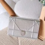 Dior Diorama 19cm bag