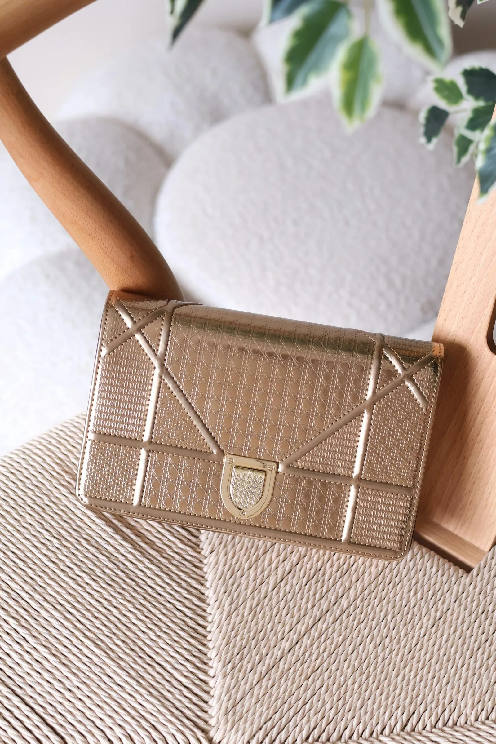 Dior Diorama 19cm bag