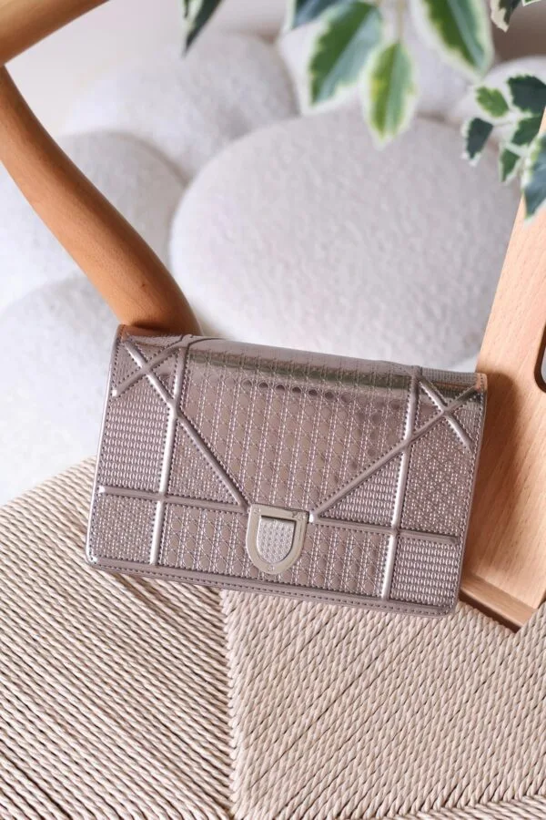 Dior Diorama 19cm bag