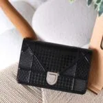 Dior Diorama 19cm bag