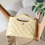 Chanel 31 20cm bag
