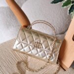 Chanel 19cm Clutch bag