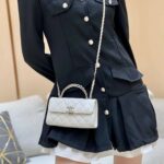 Chanel 19cm Clutch bag
