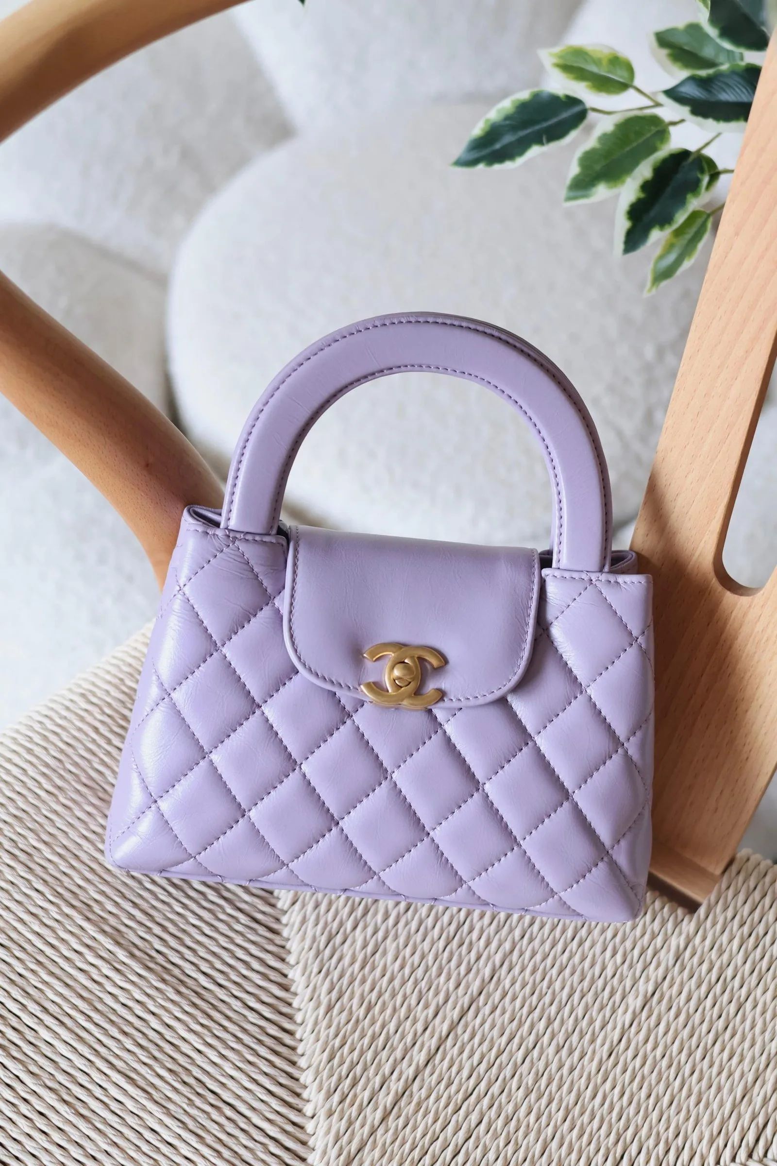 Chanel 19cm Bag