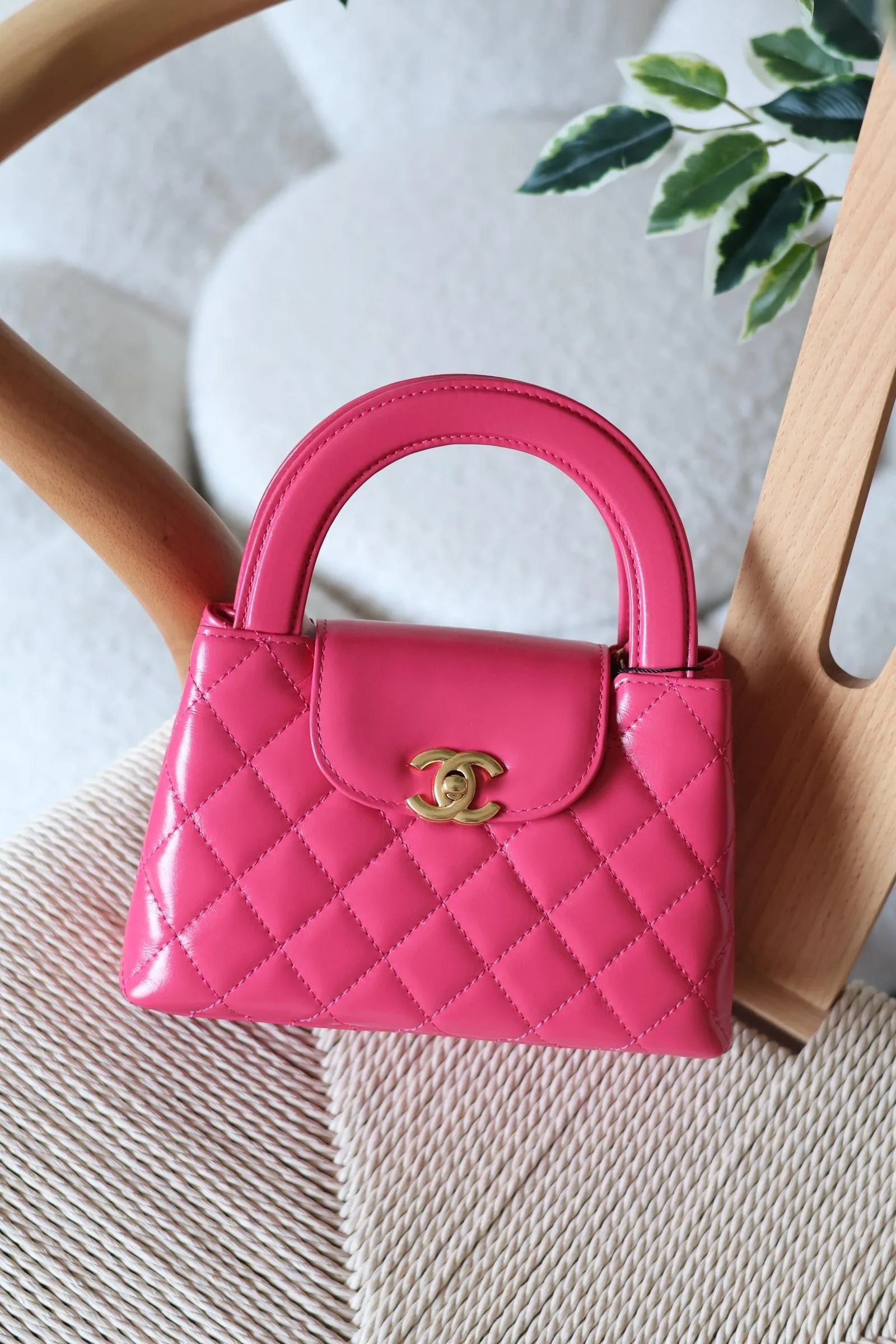Chanel 19cm Bag