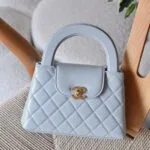 Chanel 19cm Bag