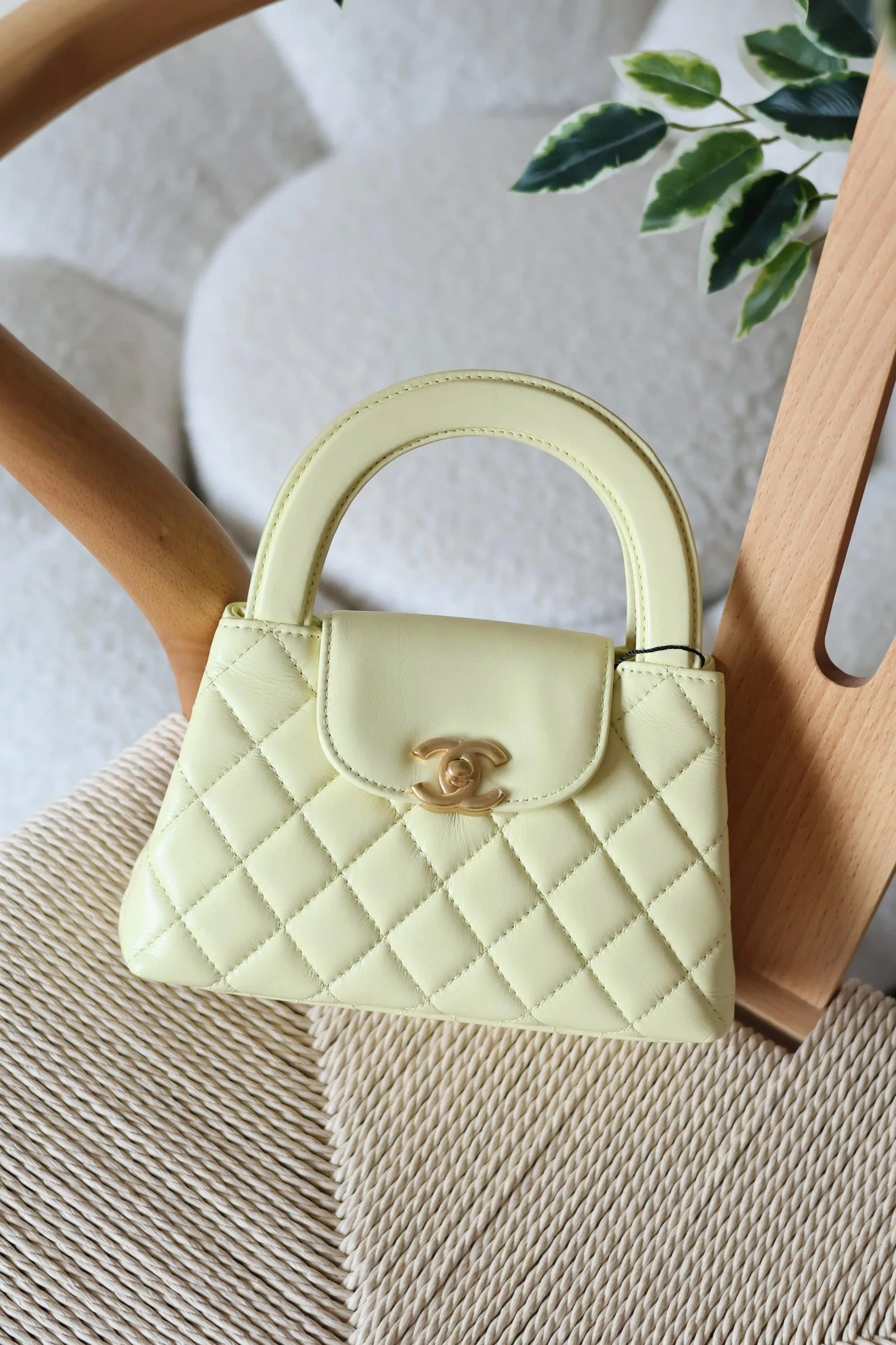 Chanel 19cm Bag