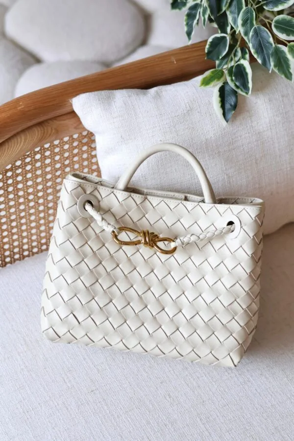Bottega Veneta 25 bag