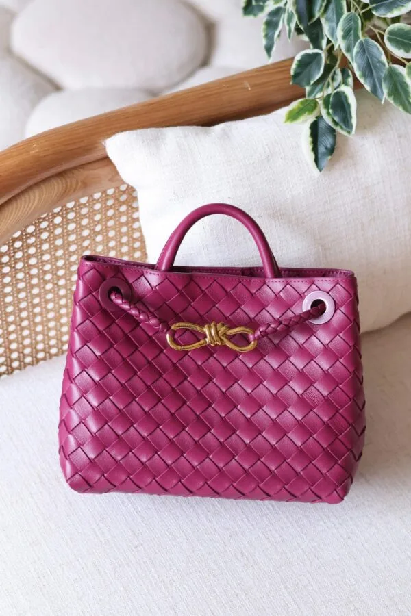 Bottega Veneta 25 bag