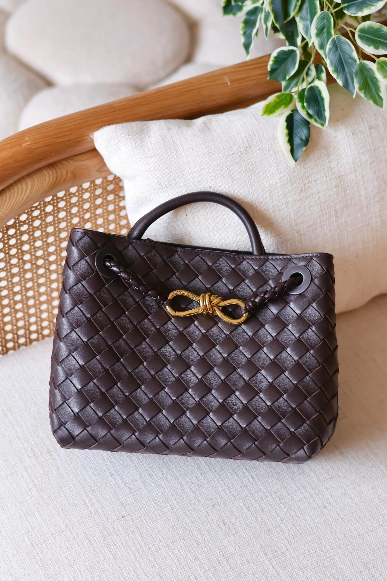 Bottega Veneta 25 bag